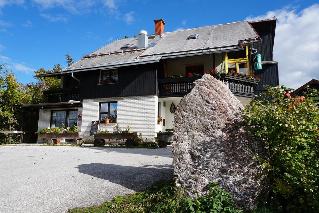 Guest house Beli Kamen Vojsko Extérieur photo
