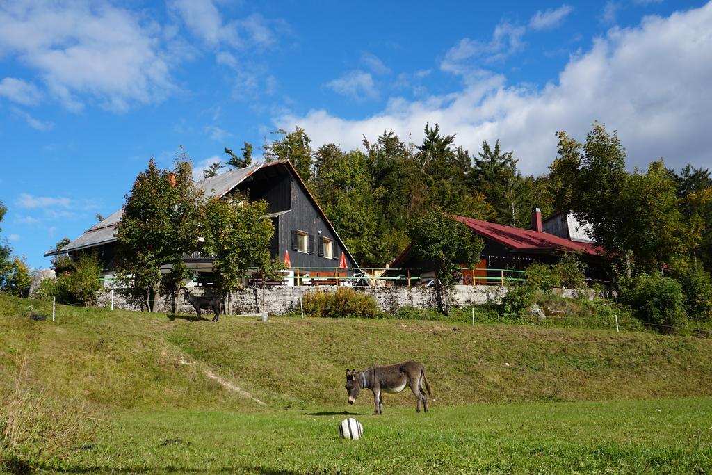 Guest house Beli Kamen Vojsko Extérieur photo