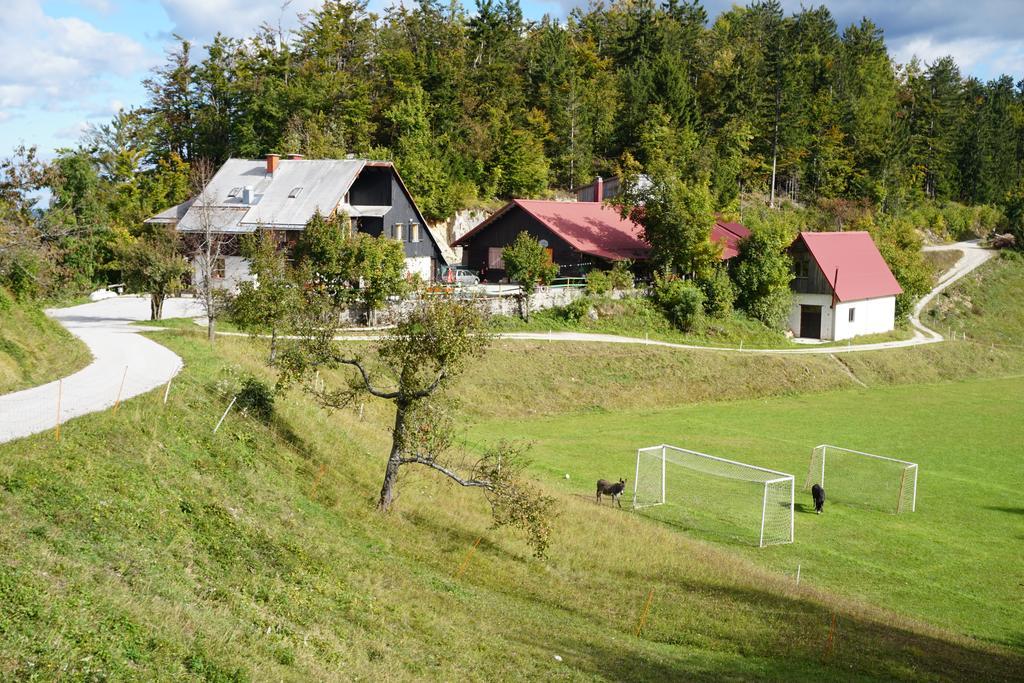 Guest house Beli Kamen Vojsko Extérieur photo